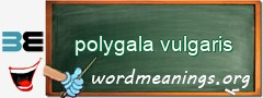 WordMeaning blackboard for polygala vulgaris
